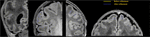 www.frontiersin.org