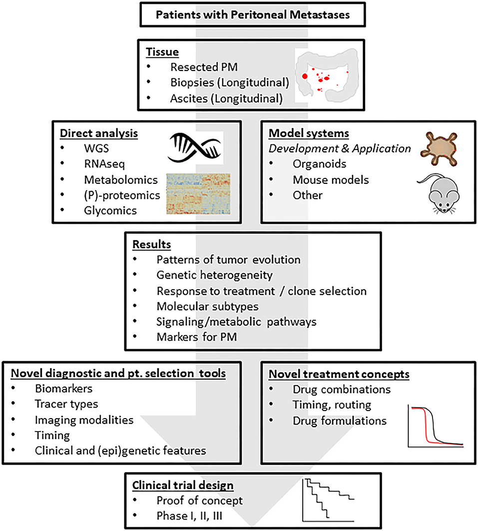 frontiers-peritoneal-metastases-from-colorectal-cancer-defining-and