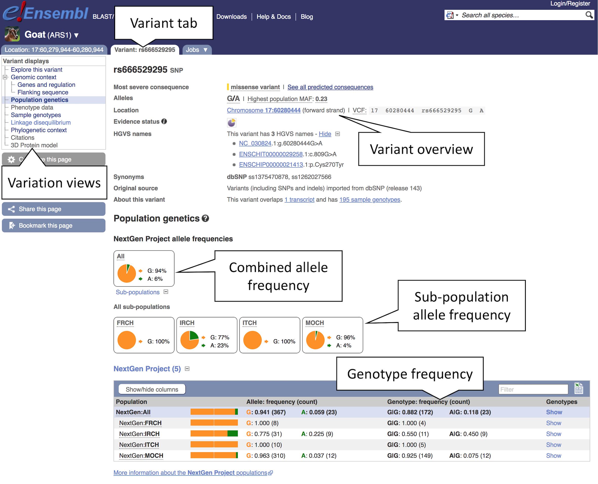 The new Ensembl mobile site showing BRCA2 and detailing available