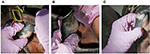 www.frontiersin.org