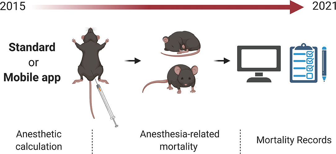 Frontiers | A Smartphone App for Individual Xylazine/Ketamine Calculation  Decreased Anesthesia-Related Mortality in Mice