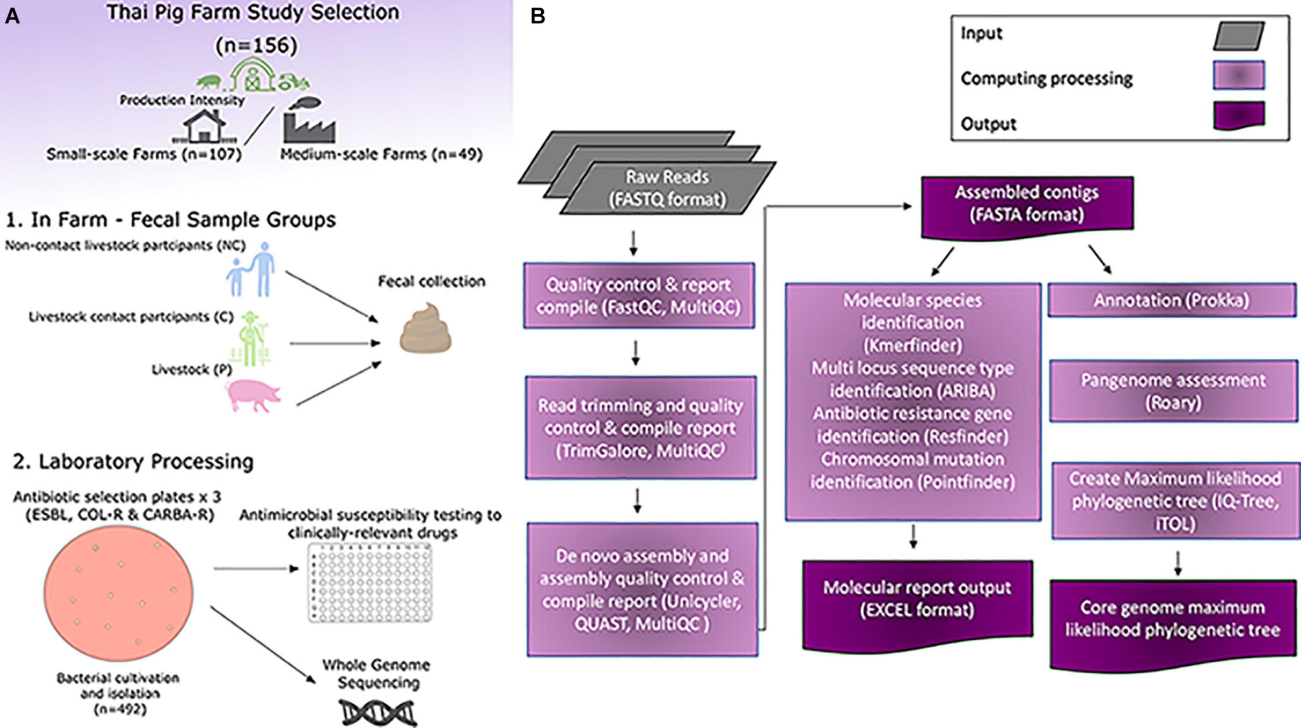 Frontiers | Exploring the Antibiotic Resistance Burden in