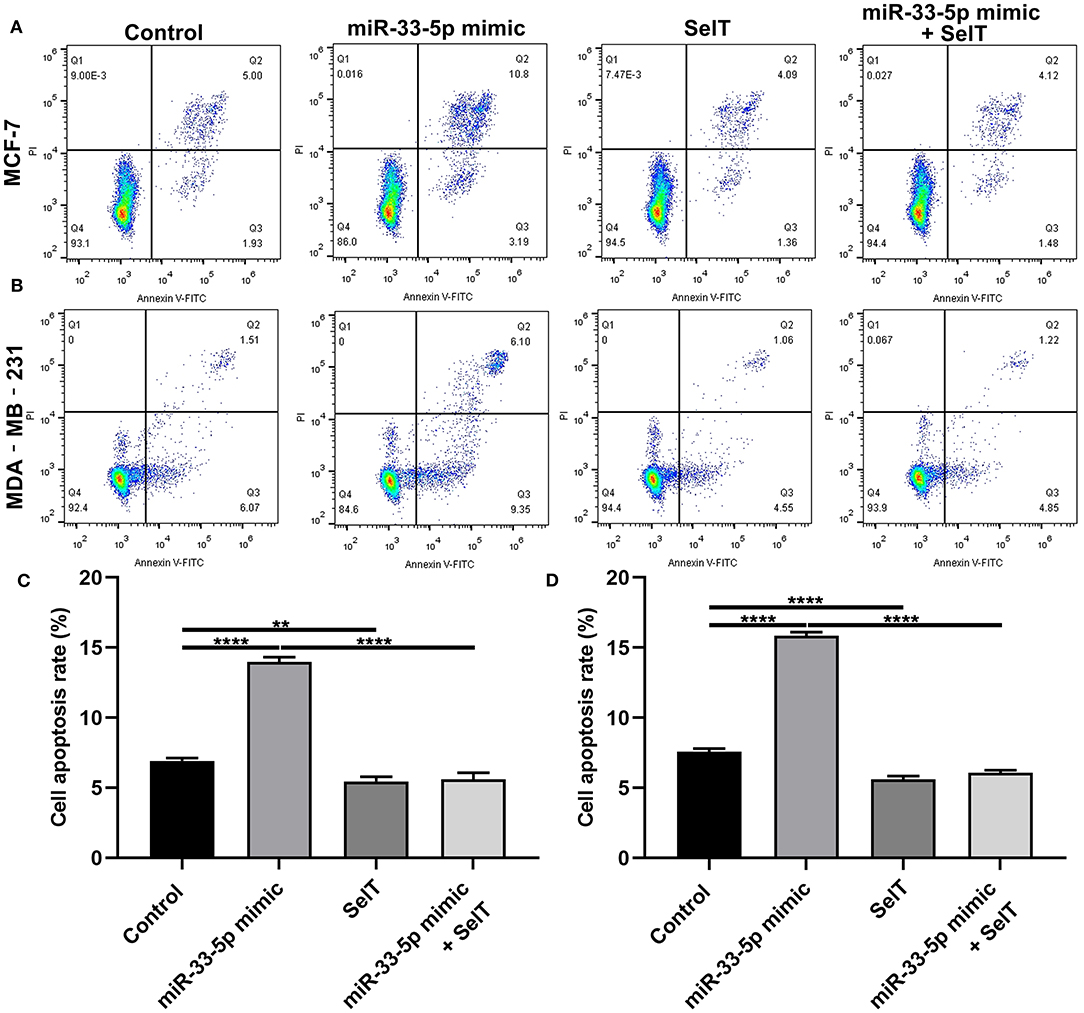 Frontiers | hsa-miR-33-5p as a Therapeutic Target Promotes Apoptosis of ...