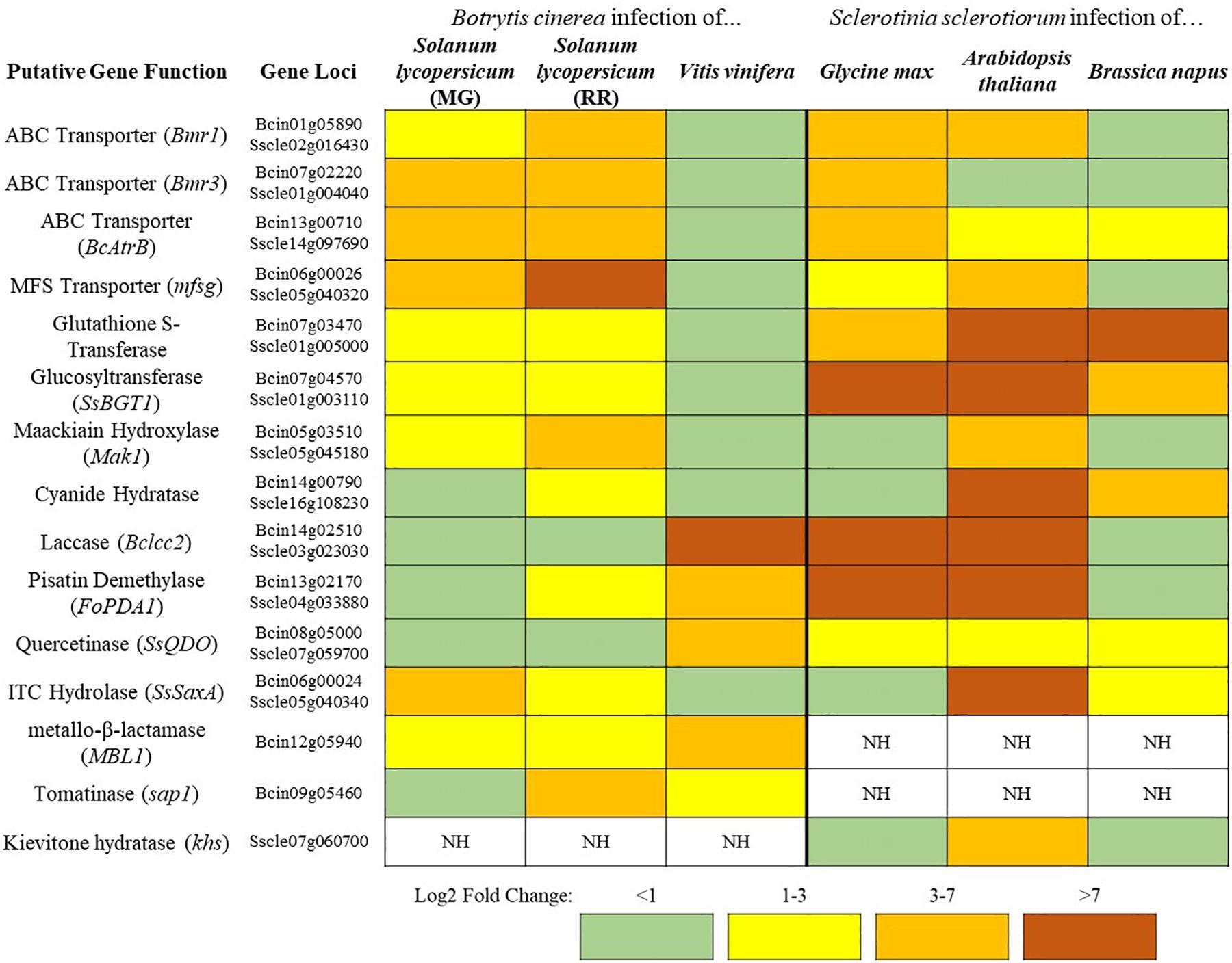 Frontiers  Characterization of fungal pathogens and germplasm