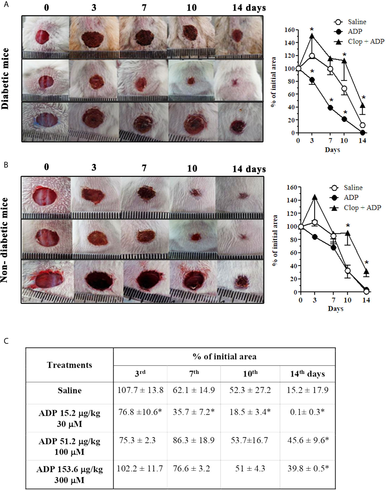 Frontiers  Exploring the contribution of pro-inflammatory cytokines to  impaired wound healing in diabetes