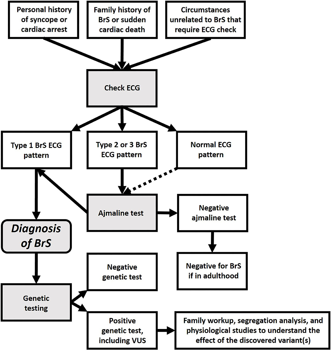 Frontiers Evaluating the Use of in Brugada Syndrome Risk Frontiers Evaluating the Use of in Brugada Syndrome Risk