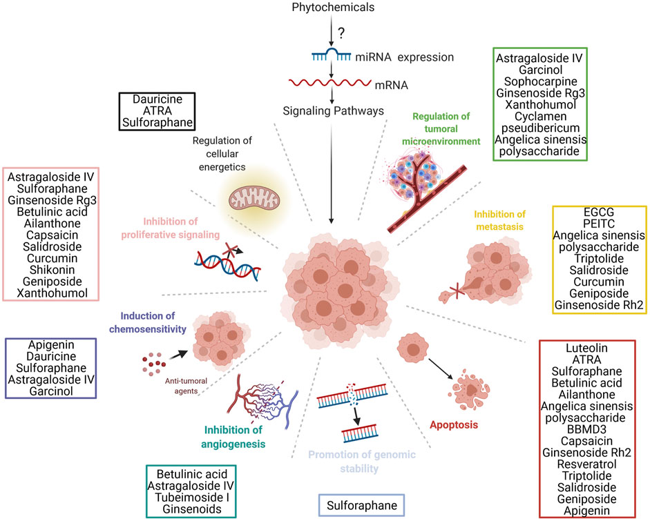 prostate 18 év