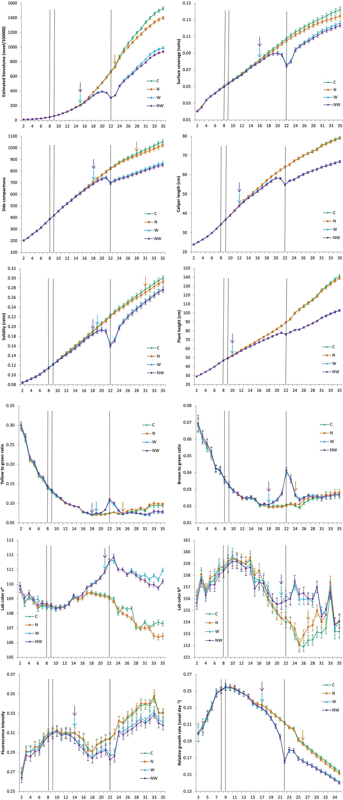 Experimental double hybrids of fresh corn grown under low and high  phosphorus availability1