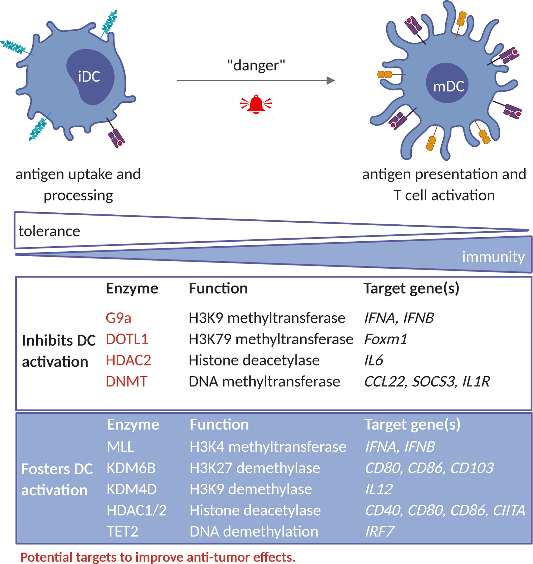 Full article: Epigenetic treatment of multiple myeloma mediates tumor  intrinsic and extrinsic immunomodulatory effects