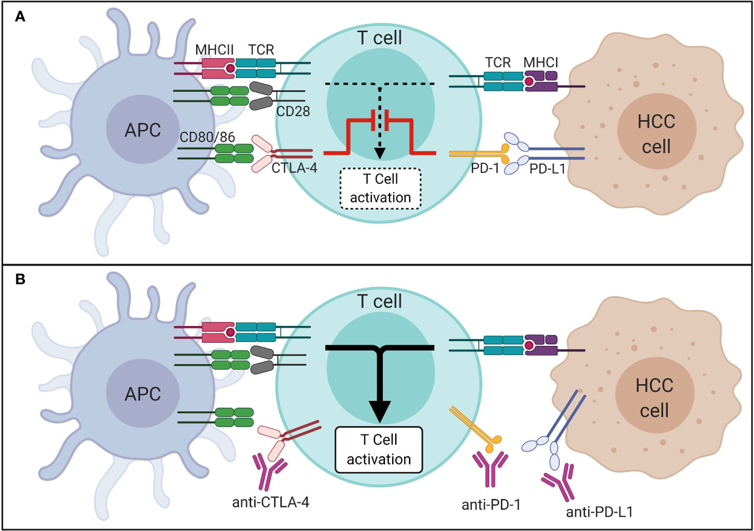 Frontiers Lessons From Immune Checkpoint Inhibitor Trials In