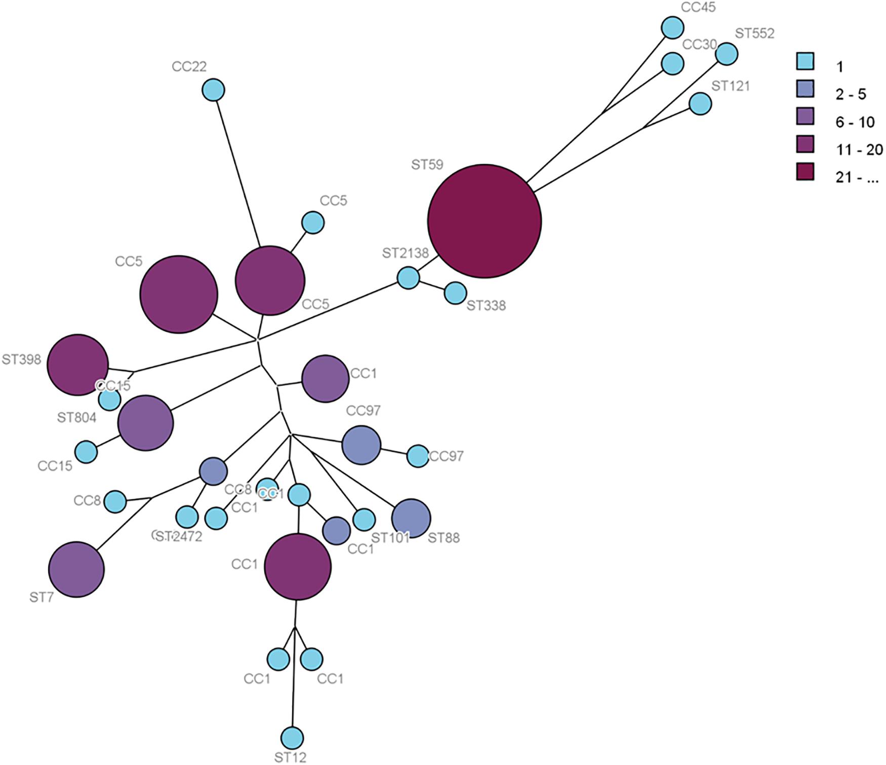 Staphylococcus aureus - Information and Epidemiology Services