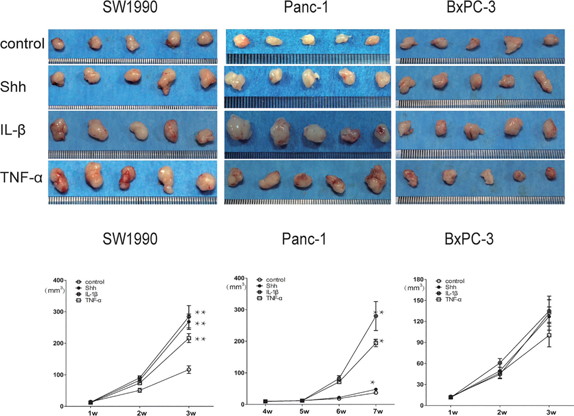 Frontiers | Positive Crosstalk Between Hedgehog and NF-κB Pathways Is ...