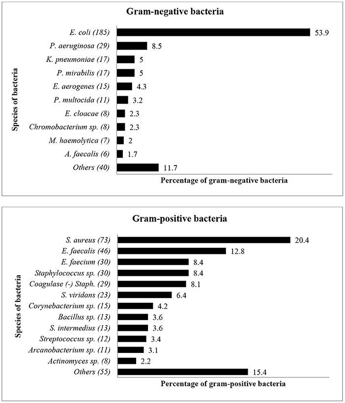 Antibiotics, Free Full-Text