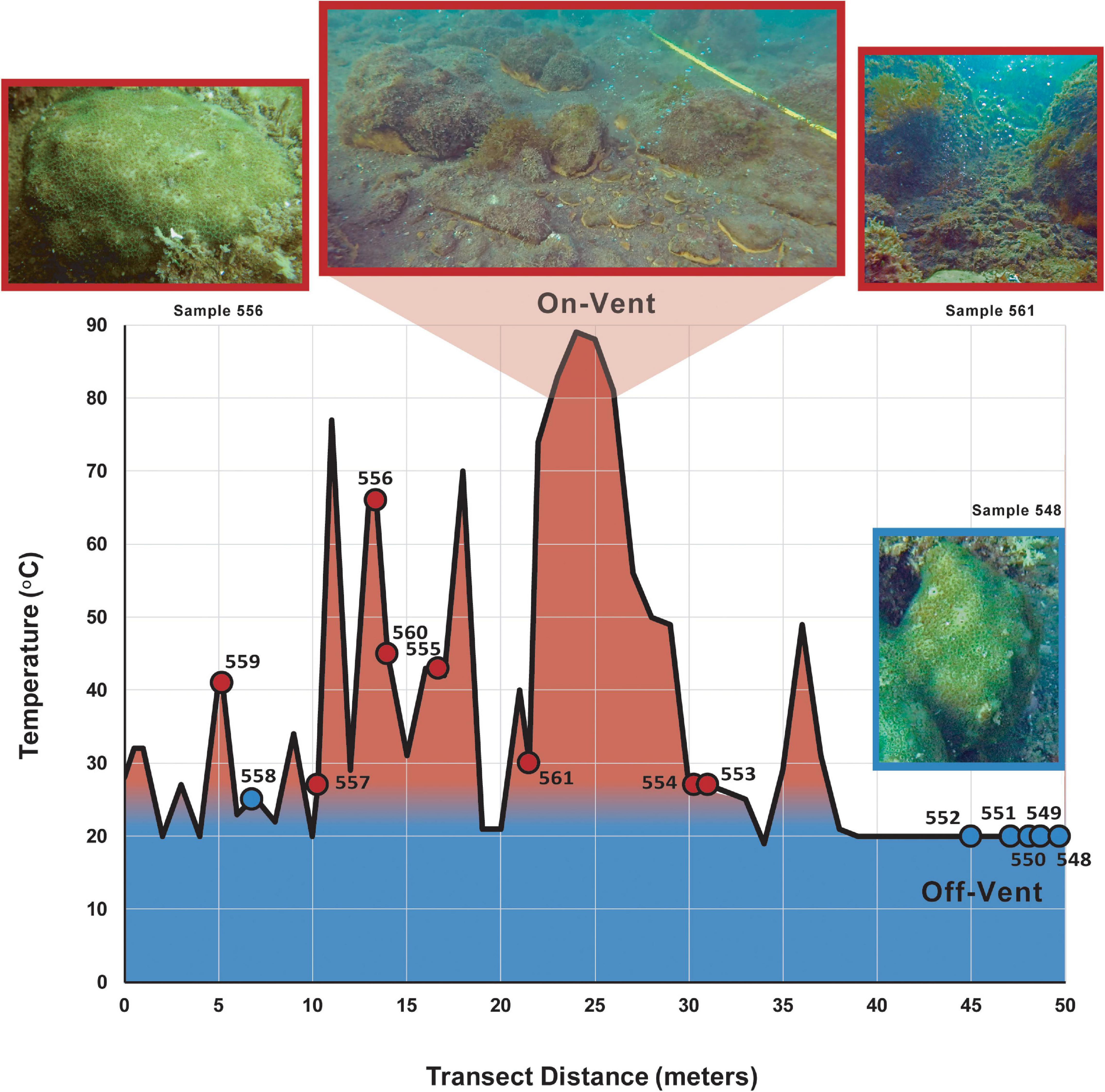 Enzyme adaptation to habitat thermal legacy shapes the thermal plasticity  of marine microbiomes