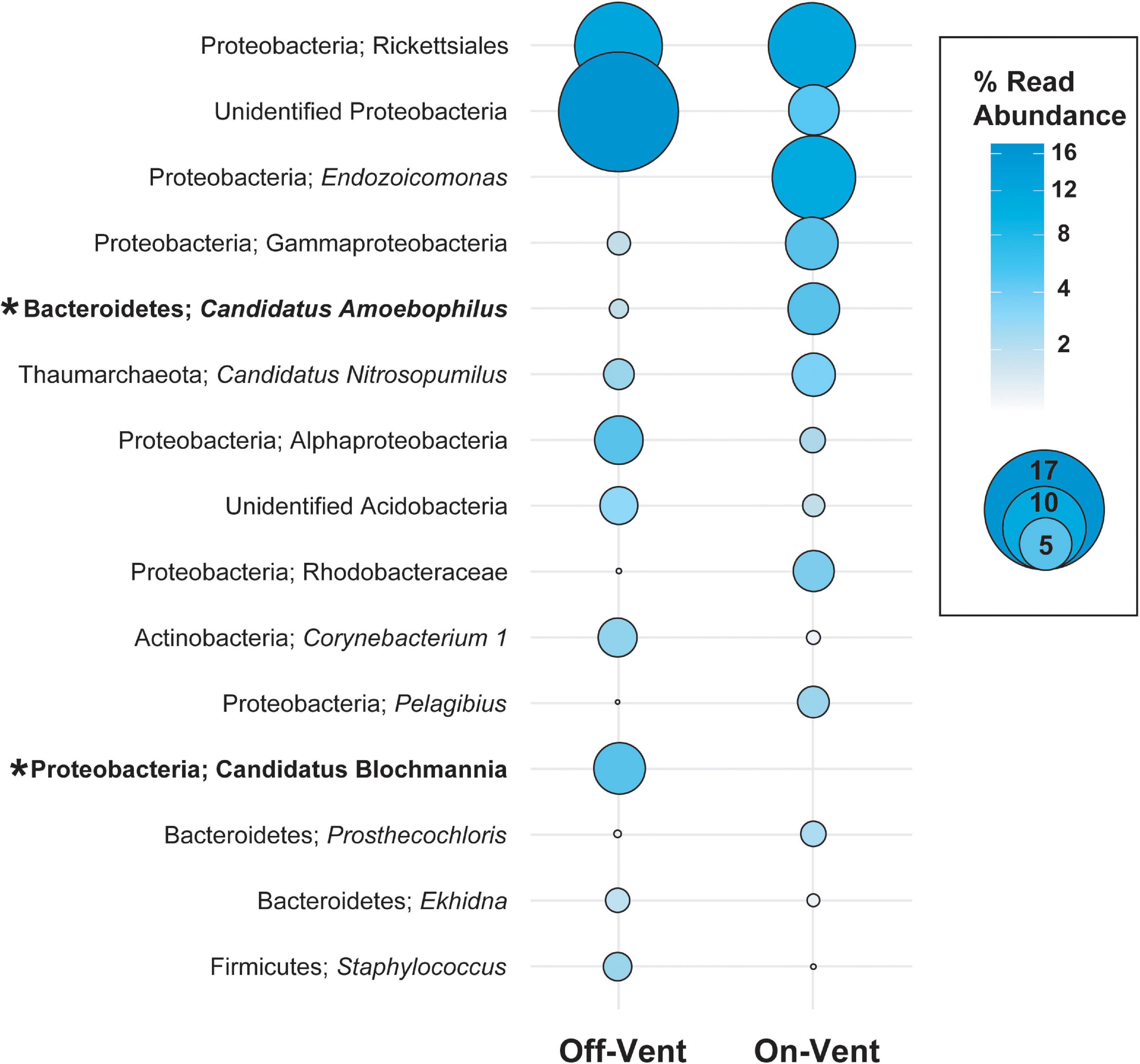 Enzyme adaptation to habitat thermal legacy shapes the thermal plasticity  of marine microbiomes