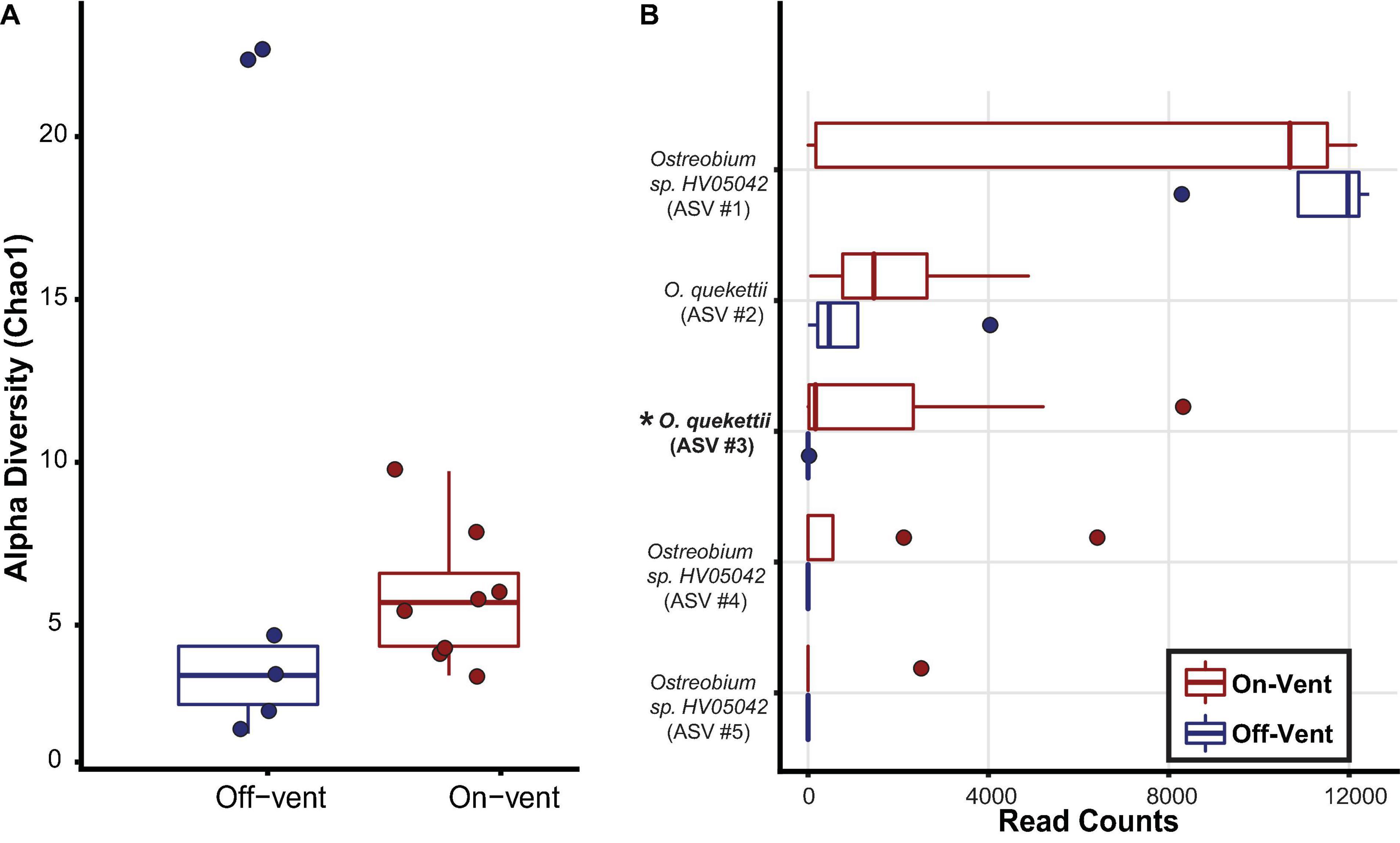 Enzyme adaptation to habitat thermal legacy shapes the thermal plasticity  of marine microbiomes