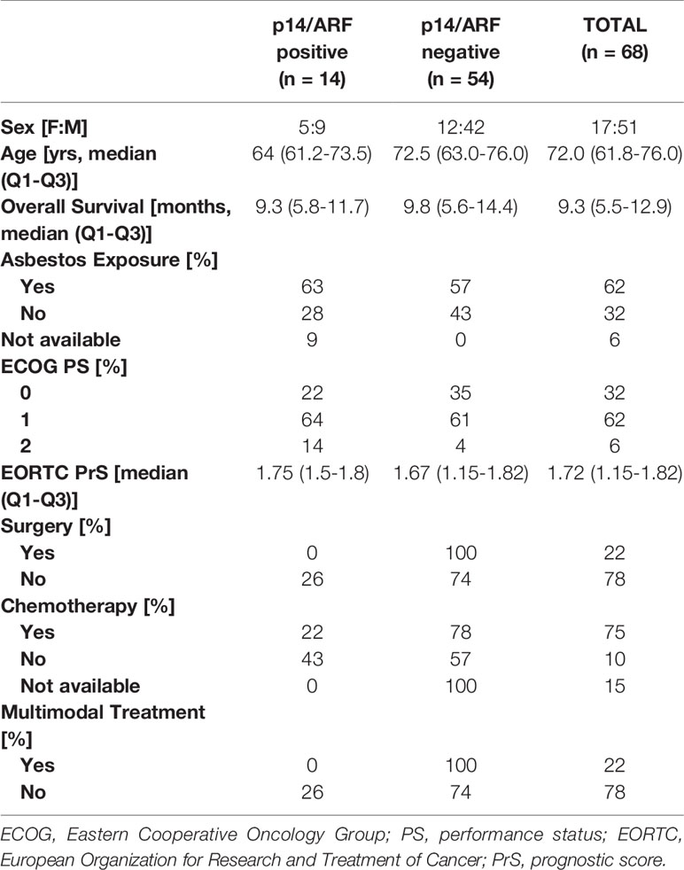 mesothelioma define