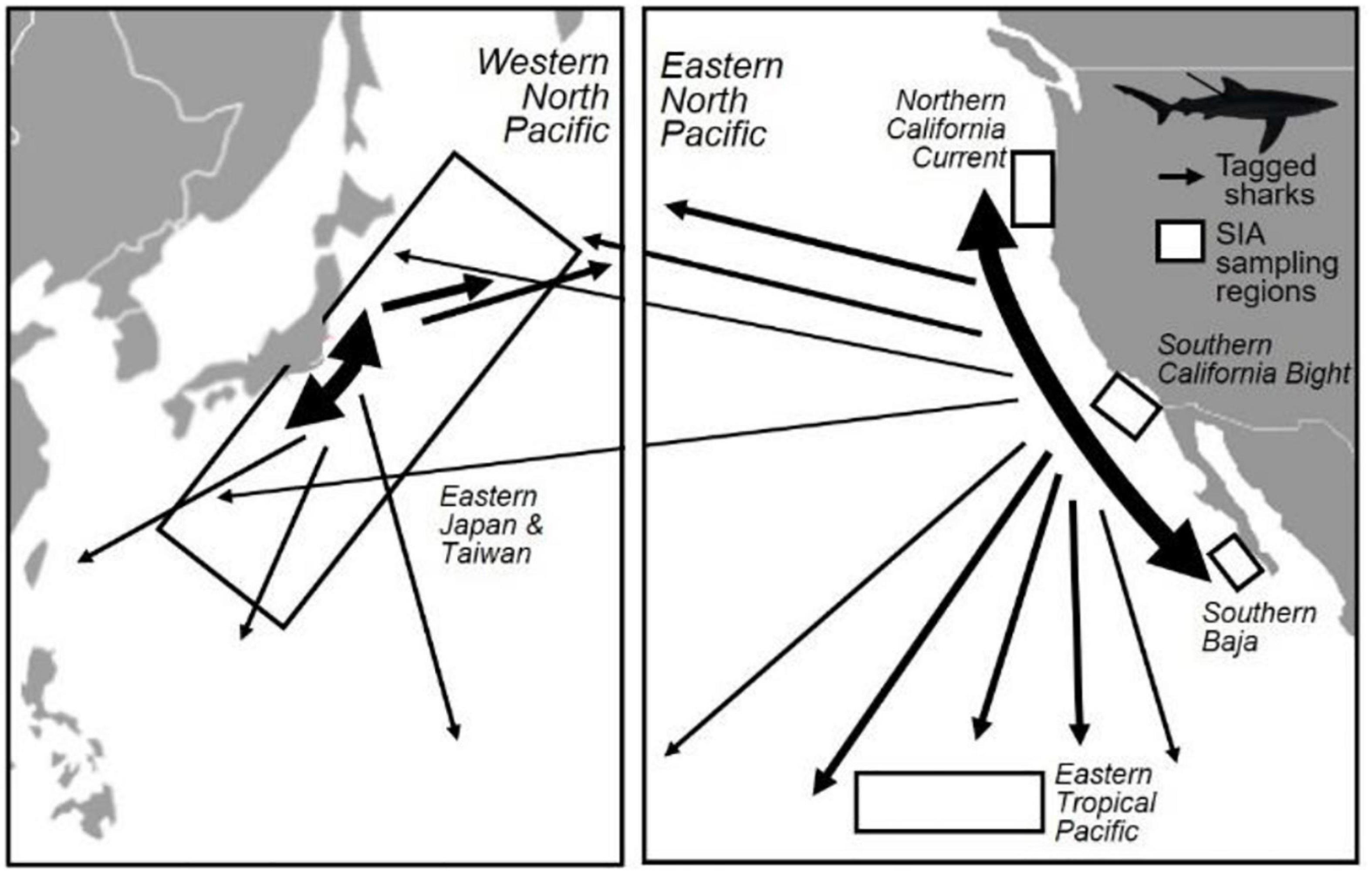 www.frontiersin.org