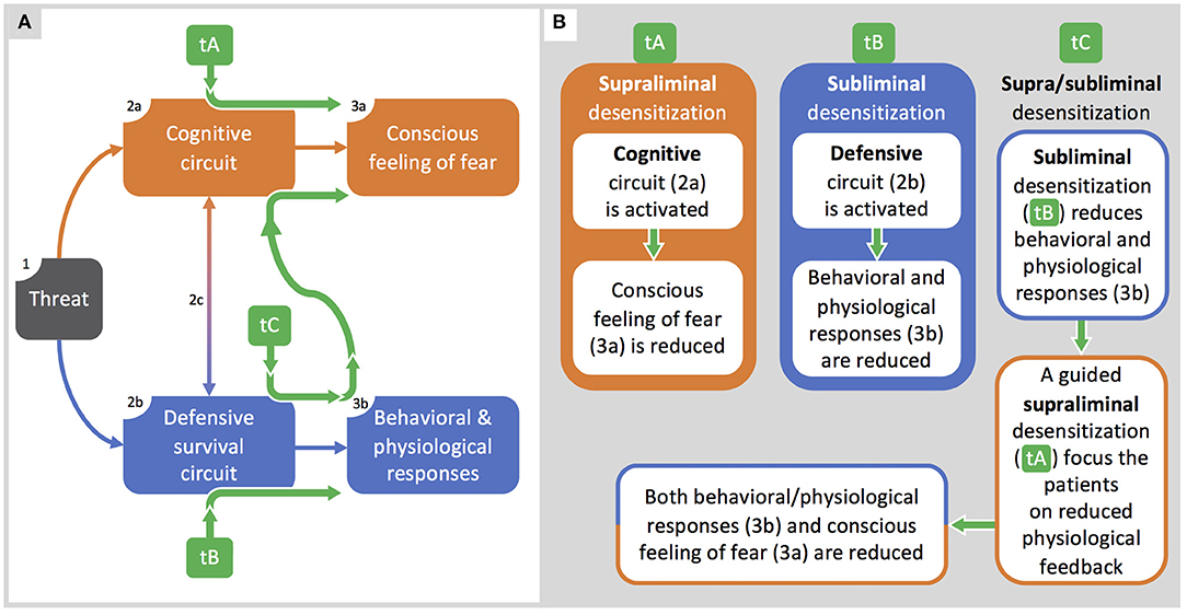 Fringe Systems  Apeirophobia - Observations/ Hypothesis/Theory