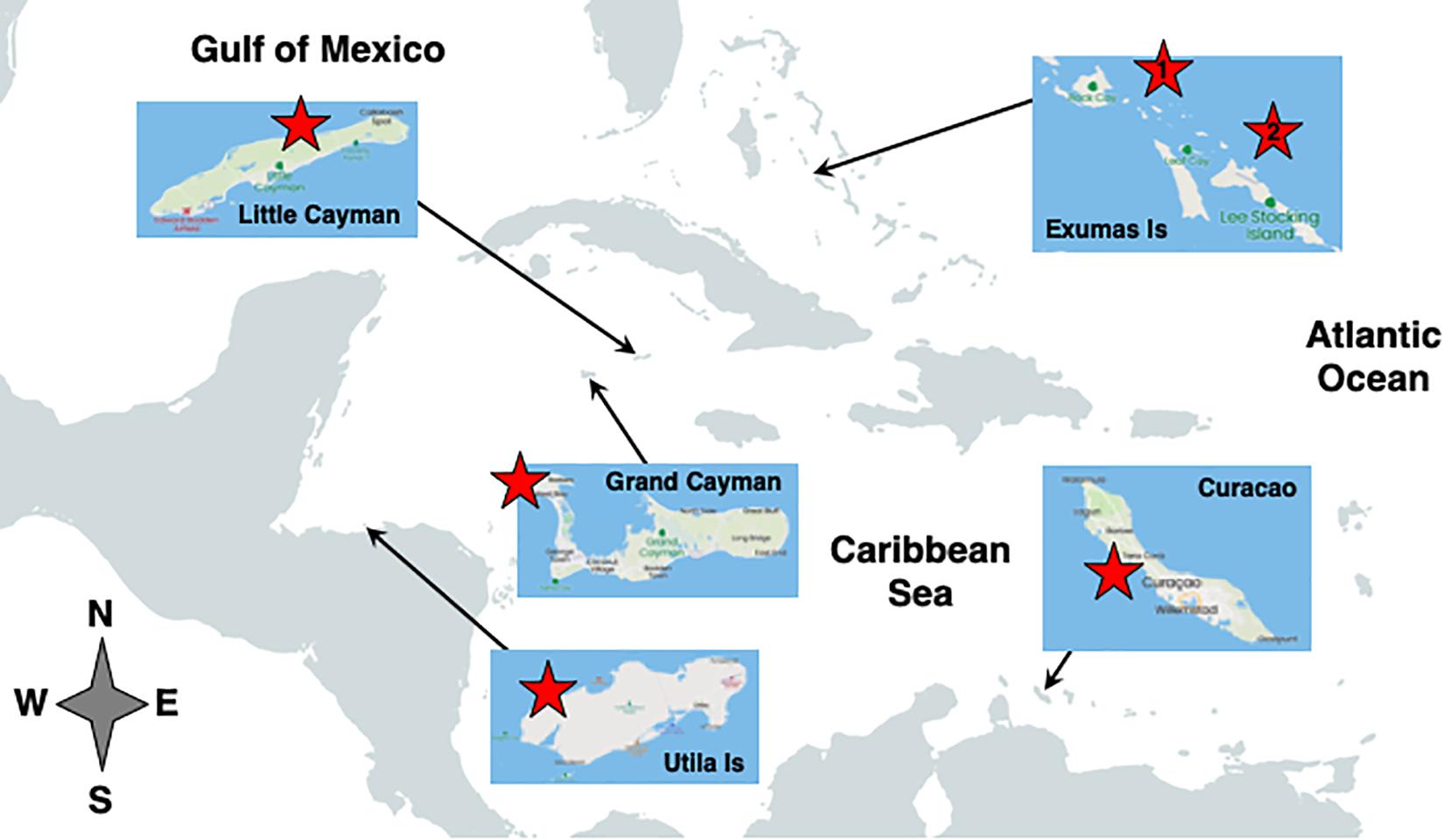 www.frontiersin.org