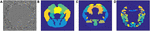 www.frontiersin.org