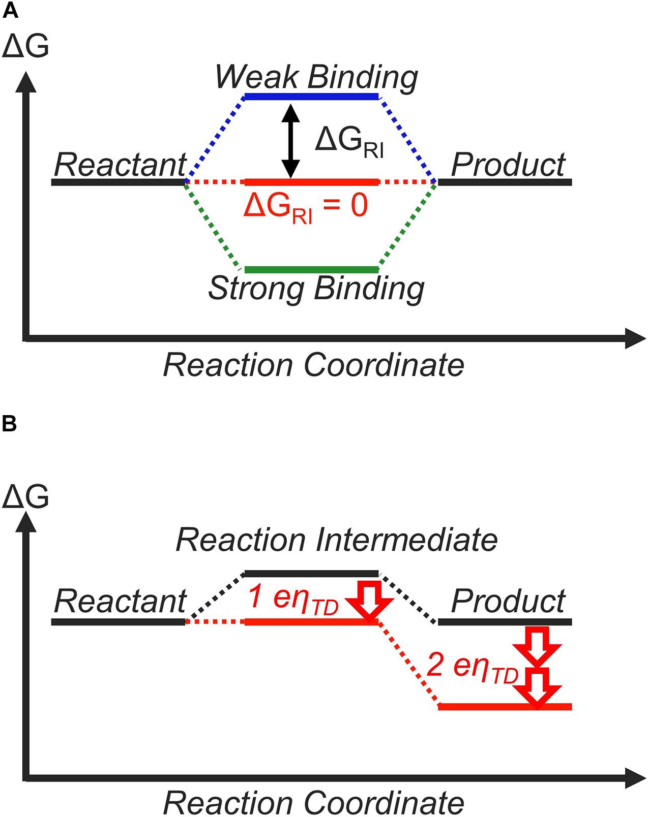 Figure 4 from CO2 reduction at low overpotential on Cu electrodes