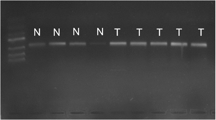 www.frontiersin.org