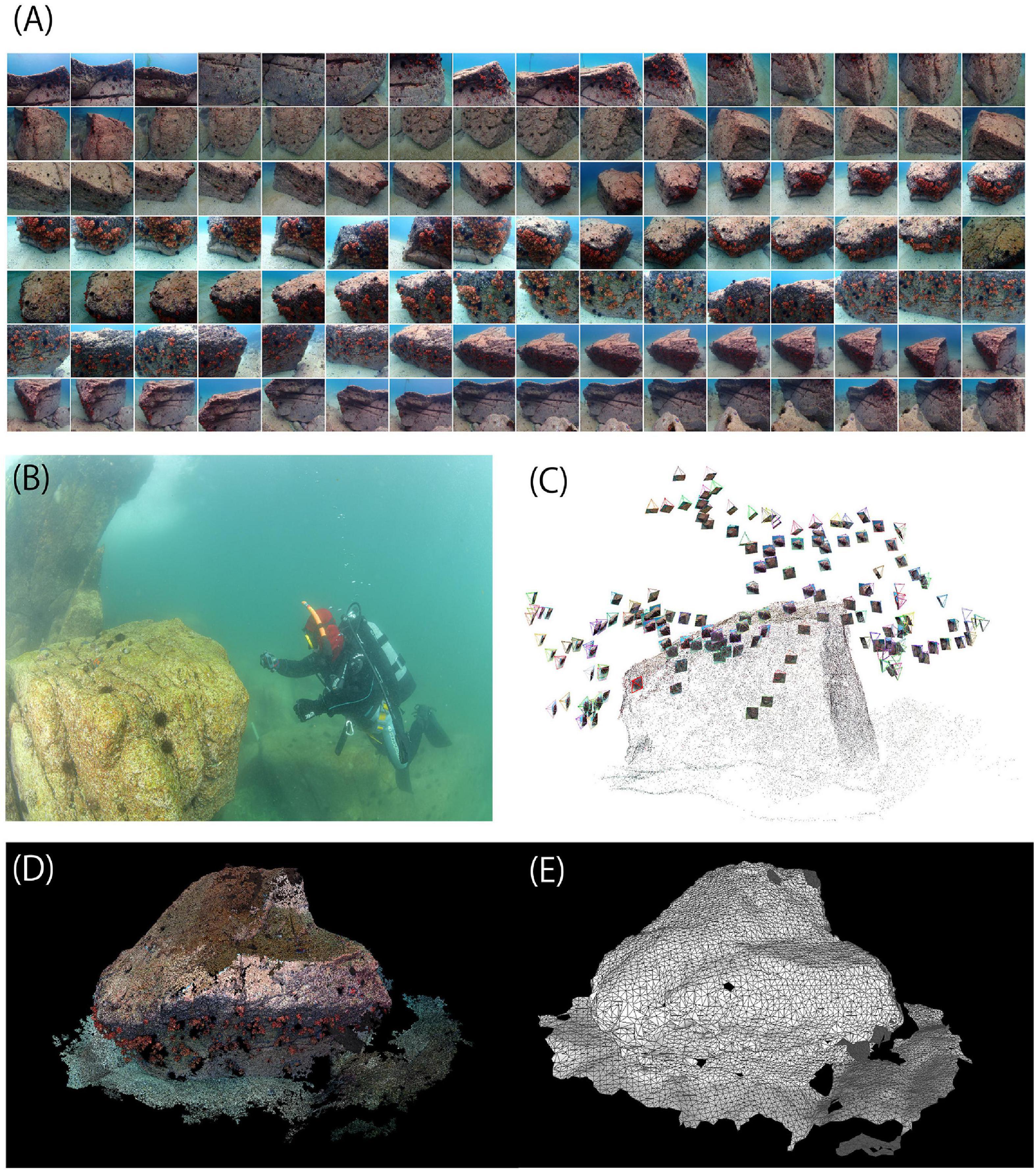 Frontiers | A New Method for Investigating Relationships Between  Distribution of Sessile Organisms and Multiple Terrain Variables by  Photogrammetry of Subtidal Bedrocks