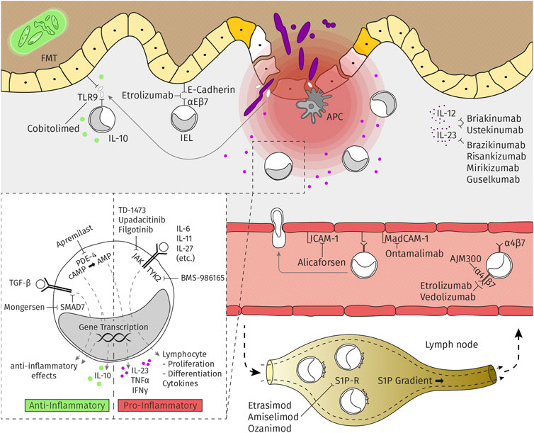 Søgemaskine markedsføring Knop volleyball Frontiers | An Update for Pharmacologists on New Treatment Options for  Inflammatory Bowel Disease: The Clinicians' Perspective