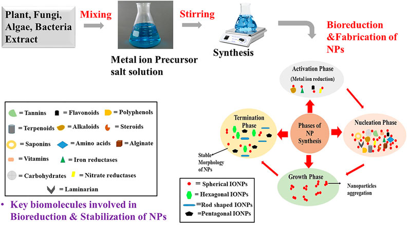 synthesis of iron oxide nanoparticles thesis