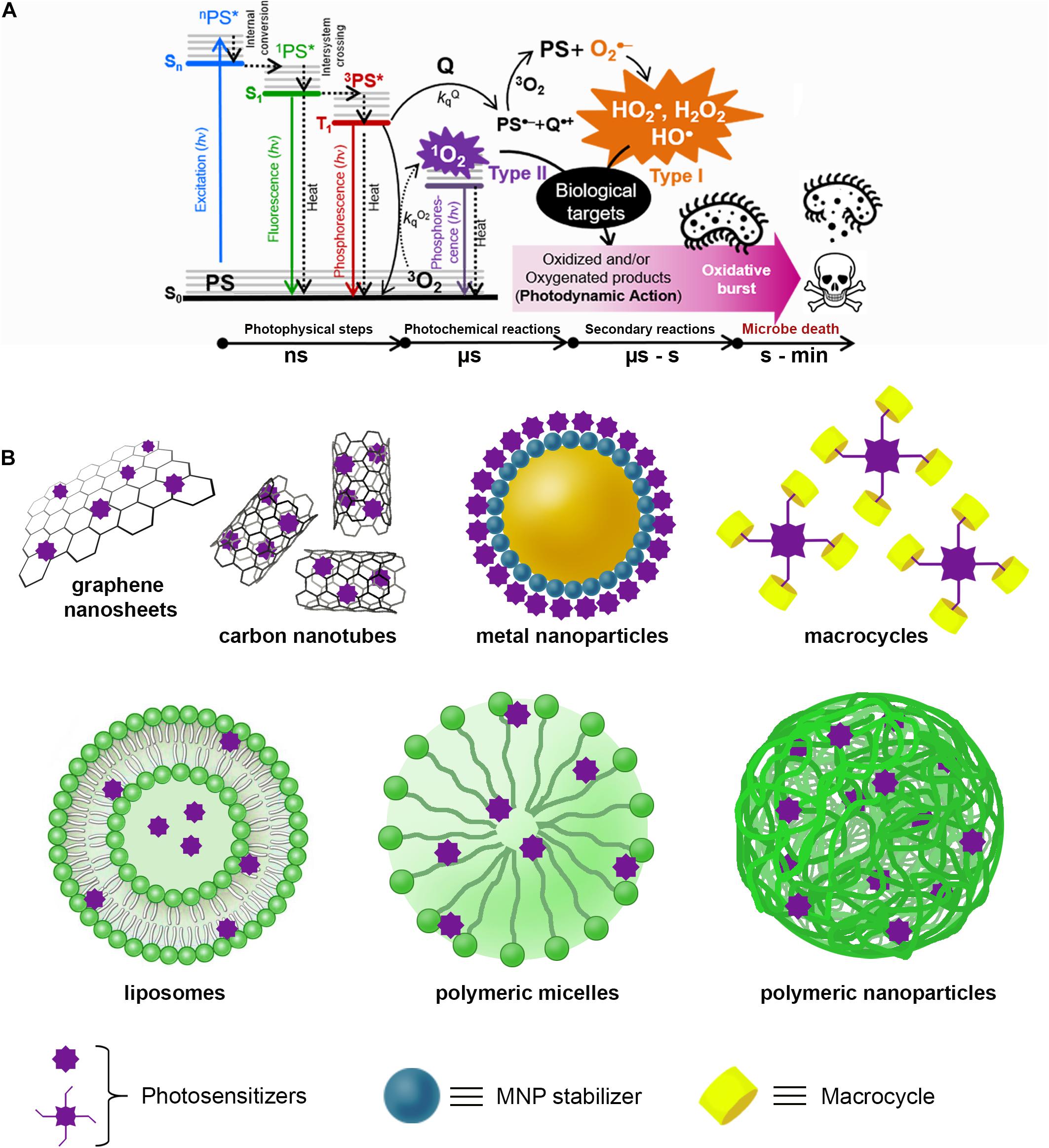 Frontiers  Photosensitization With Supramolecular Arrays for Enhanced