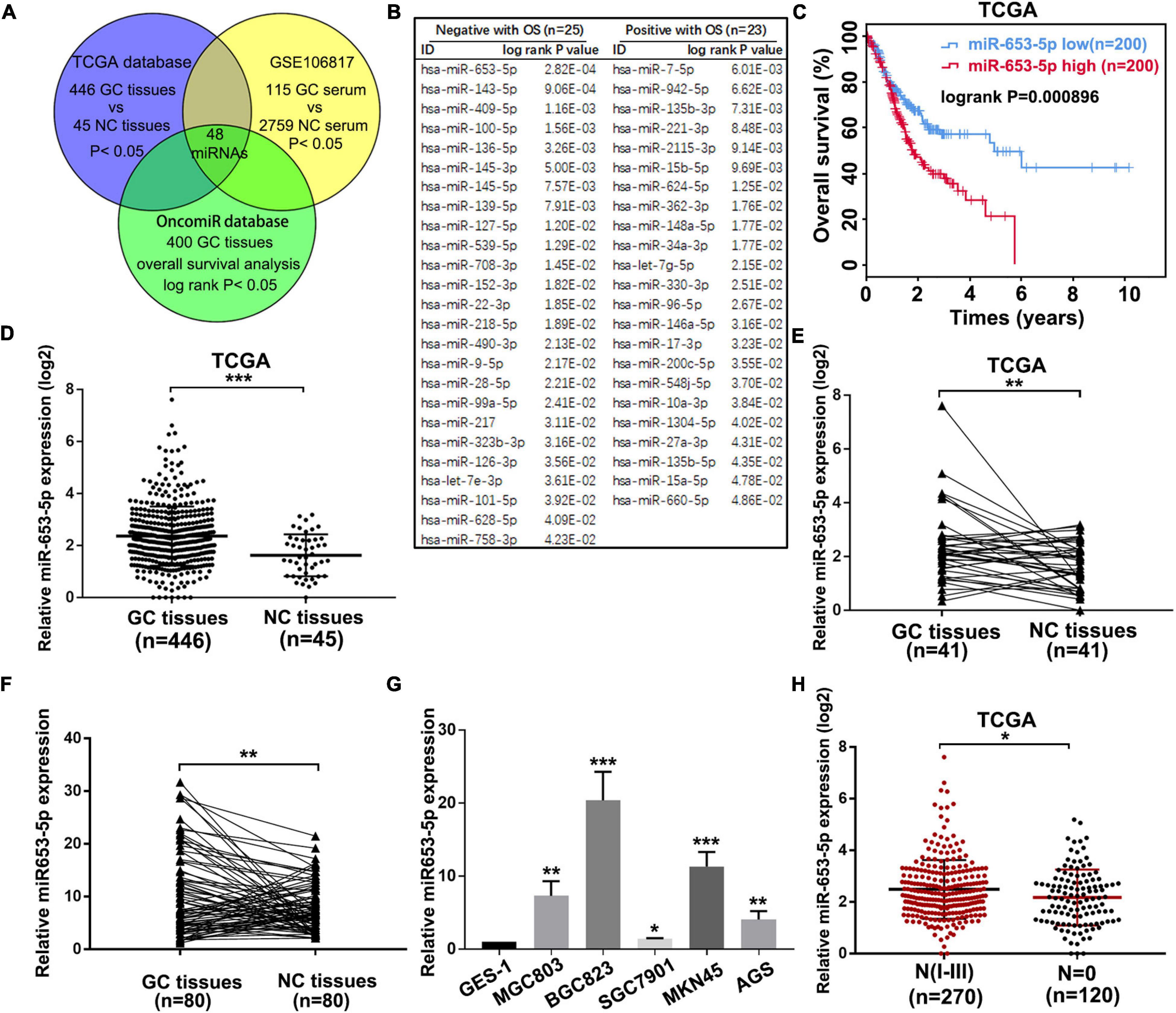 Frontiers | MicroRNA-653-5p Promotes Gastric Cancer Proliferation 