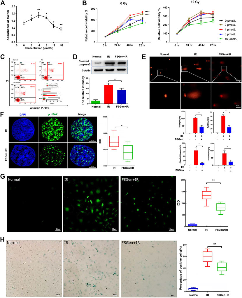 Frontiers | Genistein From Fructus sophorae Protects Mice From ...