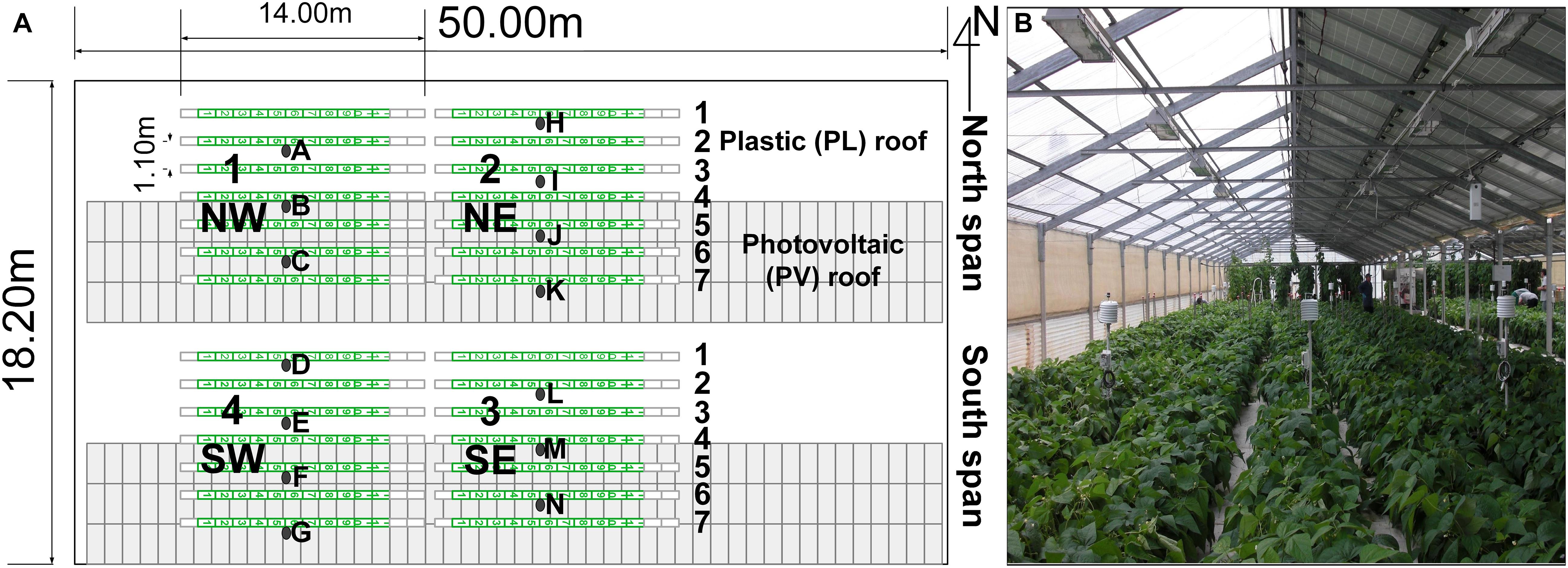 Great Incense quarter Frontiers | Yield Response and Physiological Adaptation of Green Bean to  Photovoltaic Greenhouses