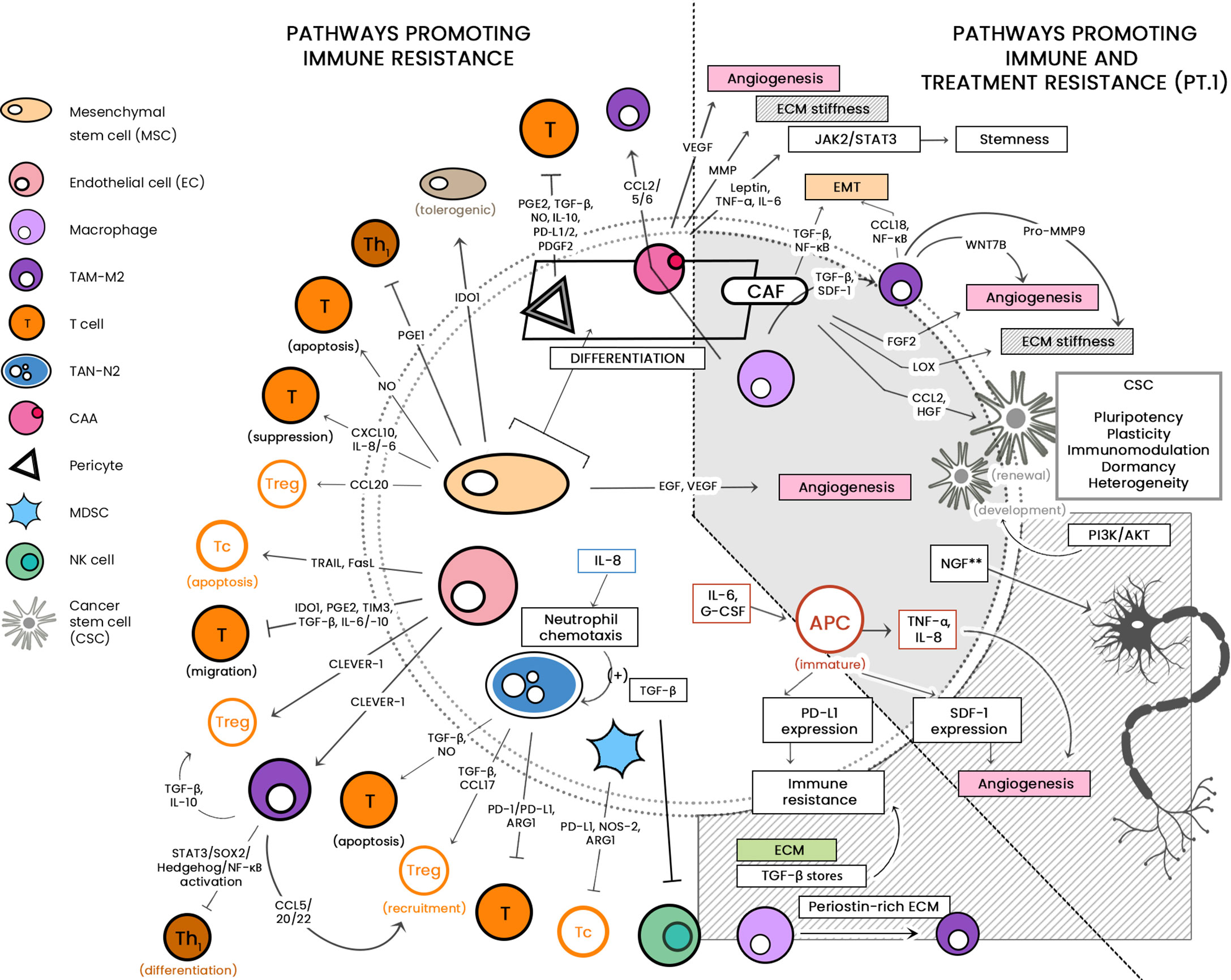 Full article: Epigenetic treatment of multiple myeloma mediates tumor  intrinsic and extrinsic immunomodulatory effects