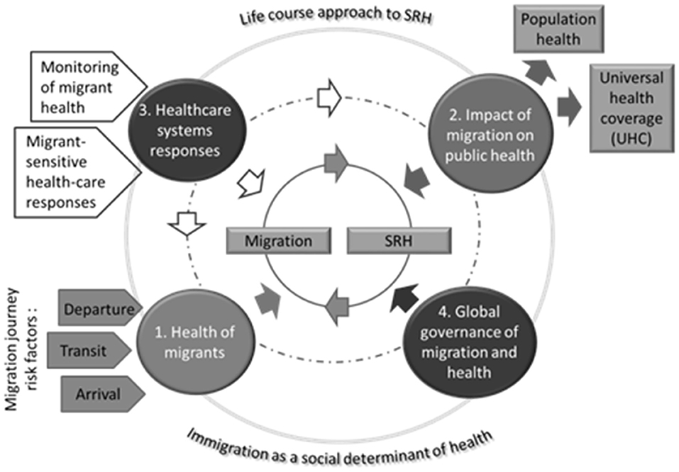 Sexual Orientation Disparities in Risk Factors for Adverse COVID