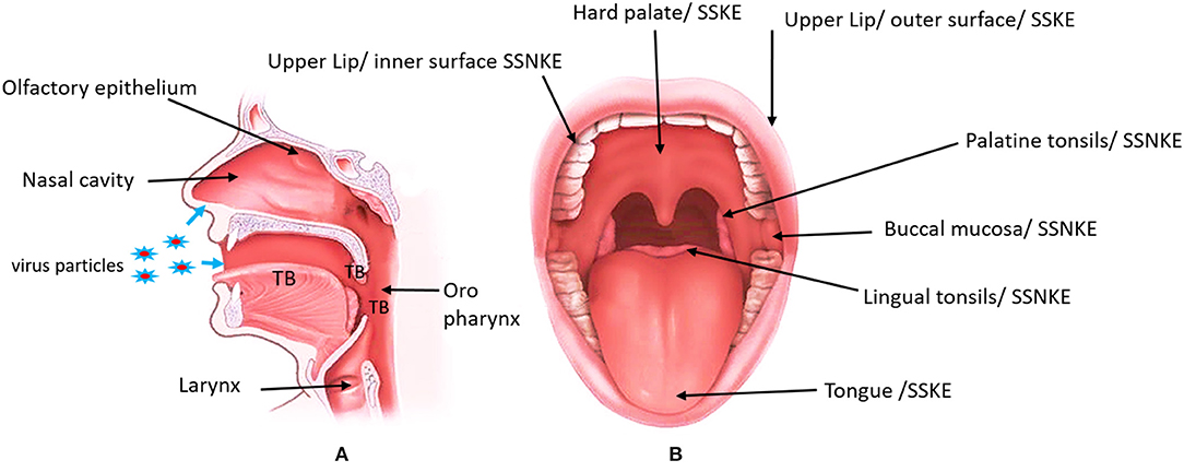 georgia gives awesome oral-stimulation