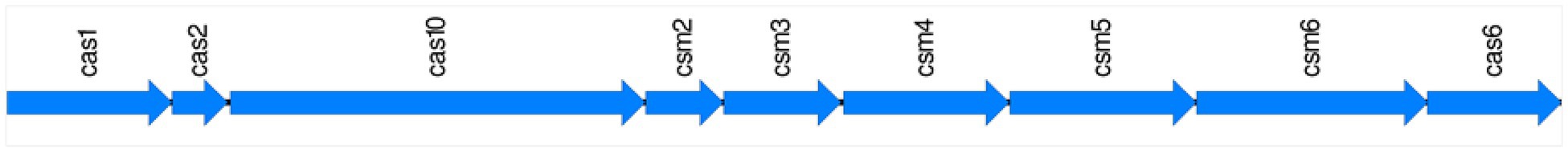 www.frontiersin.org