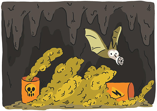 Figure 3 - Mining, pollution, and other human activities are all threatening cave animals.