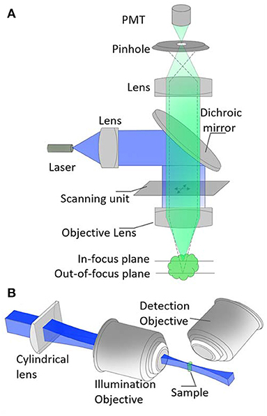 Tiny mirror improves microscope resolution for studying cells