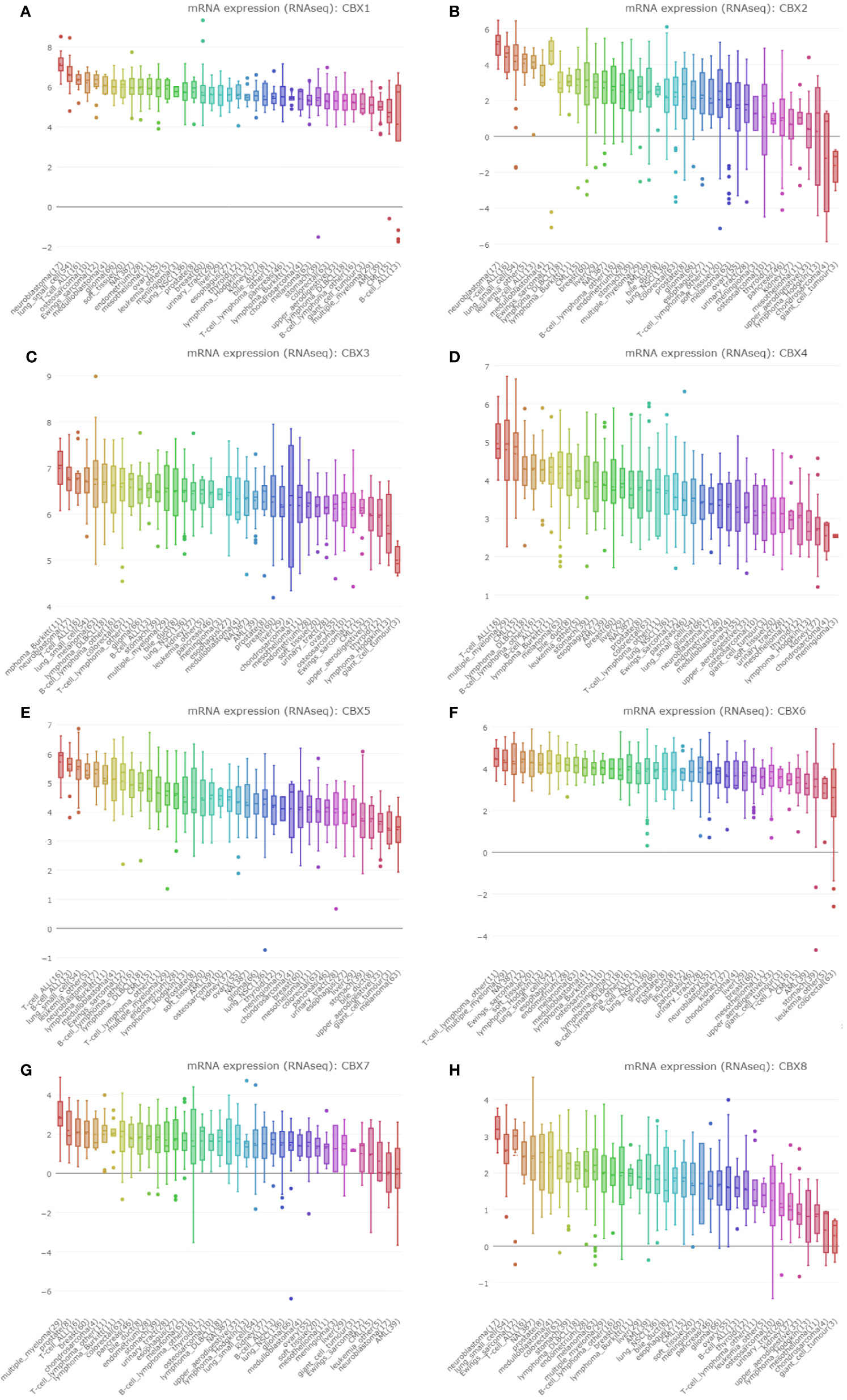 mesothelioma cancer age range