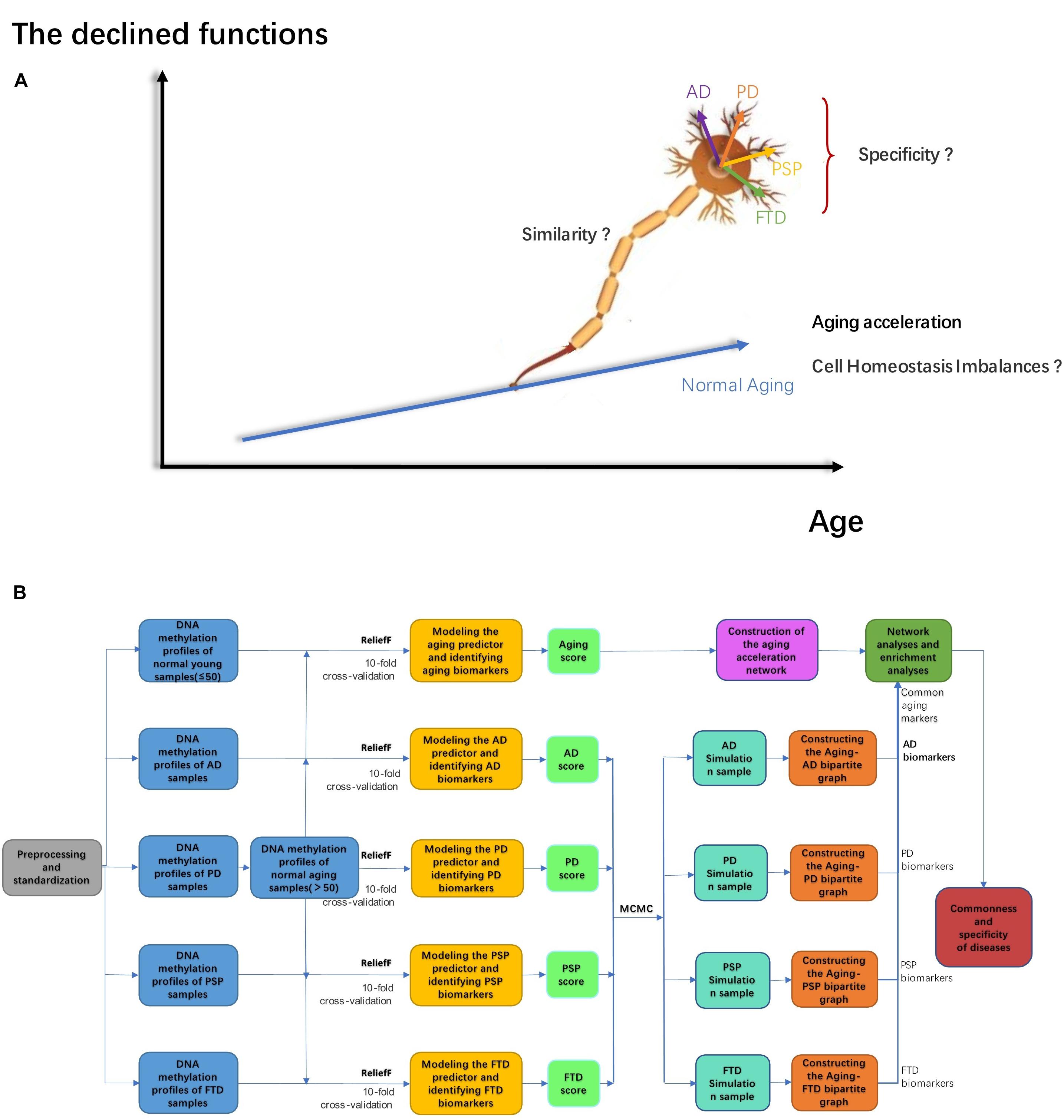 Frontiers  Epigenetics in Alzheimer's Disease