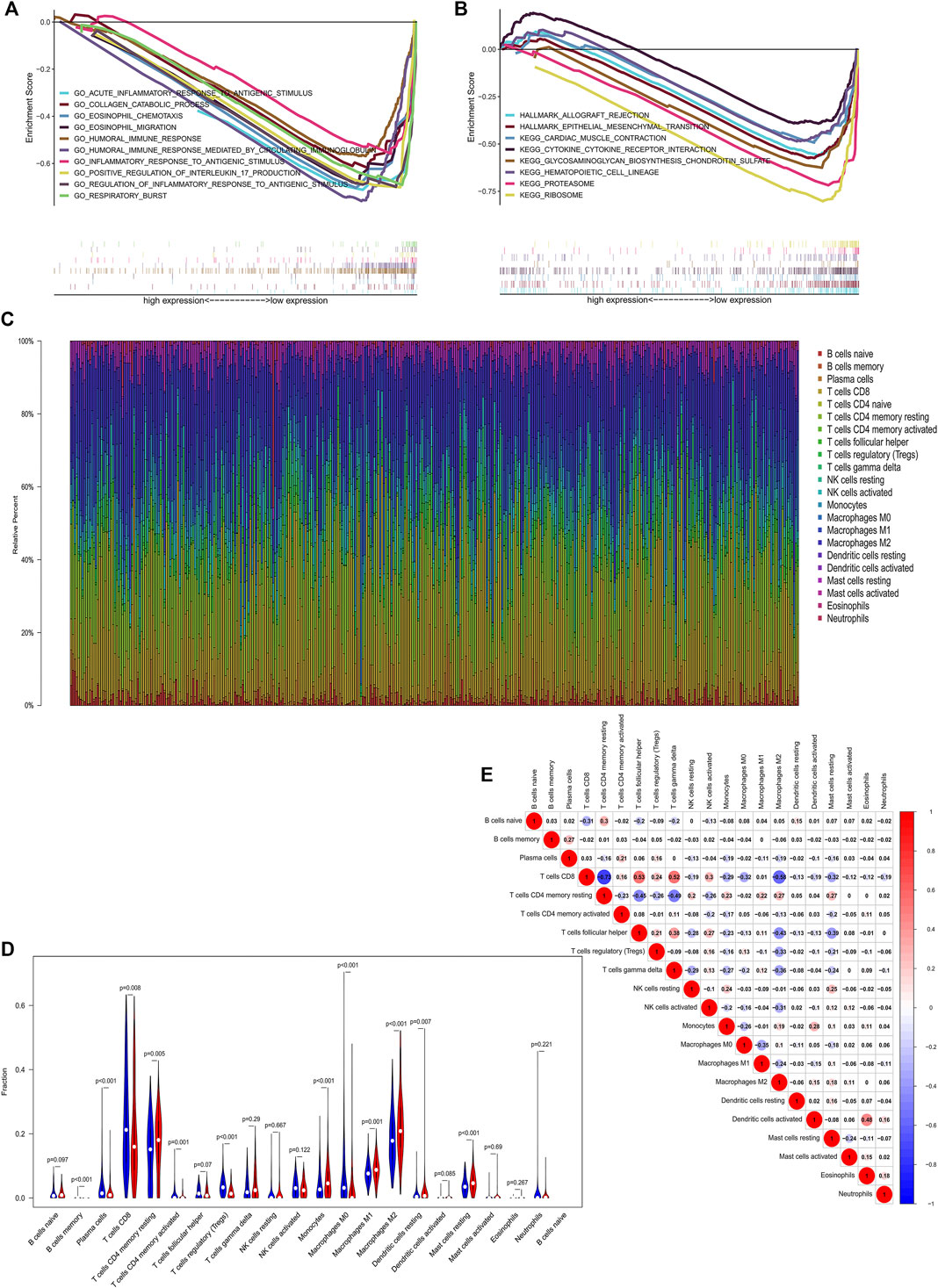 Frontiers | Decreased CDKL2 Expression in Clear Cell Renal Cell ...