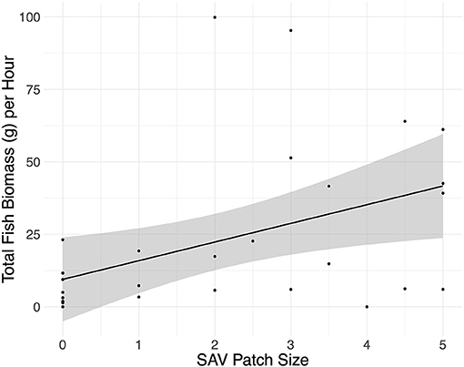 Frontiers  Submerged Aquatic Vegetation Patch Size Affects Fish  Communities in a Turbid-Algal Lake