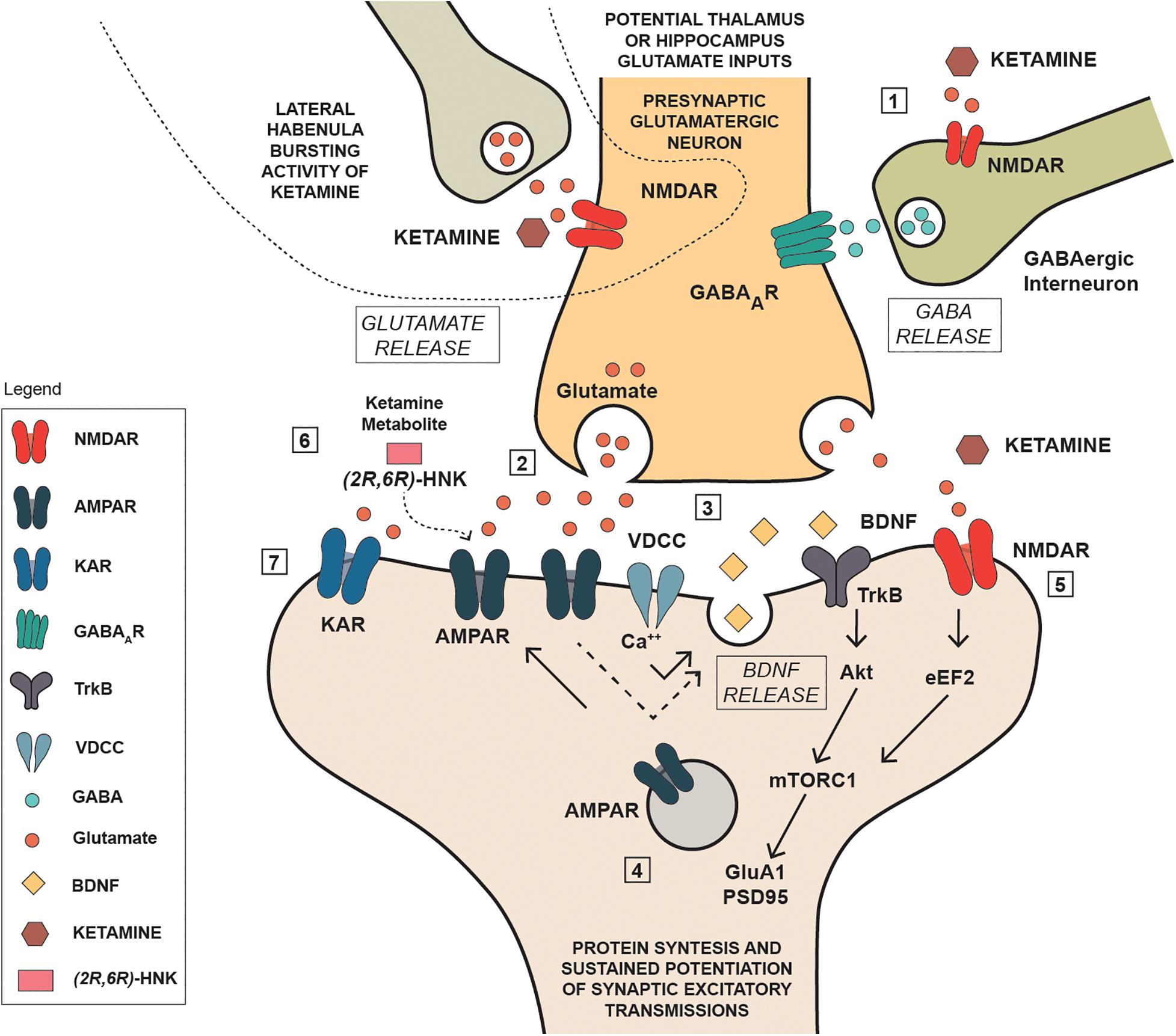 Frontiers | Repurposing Ketamine in Depression and Related Disorders ...