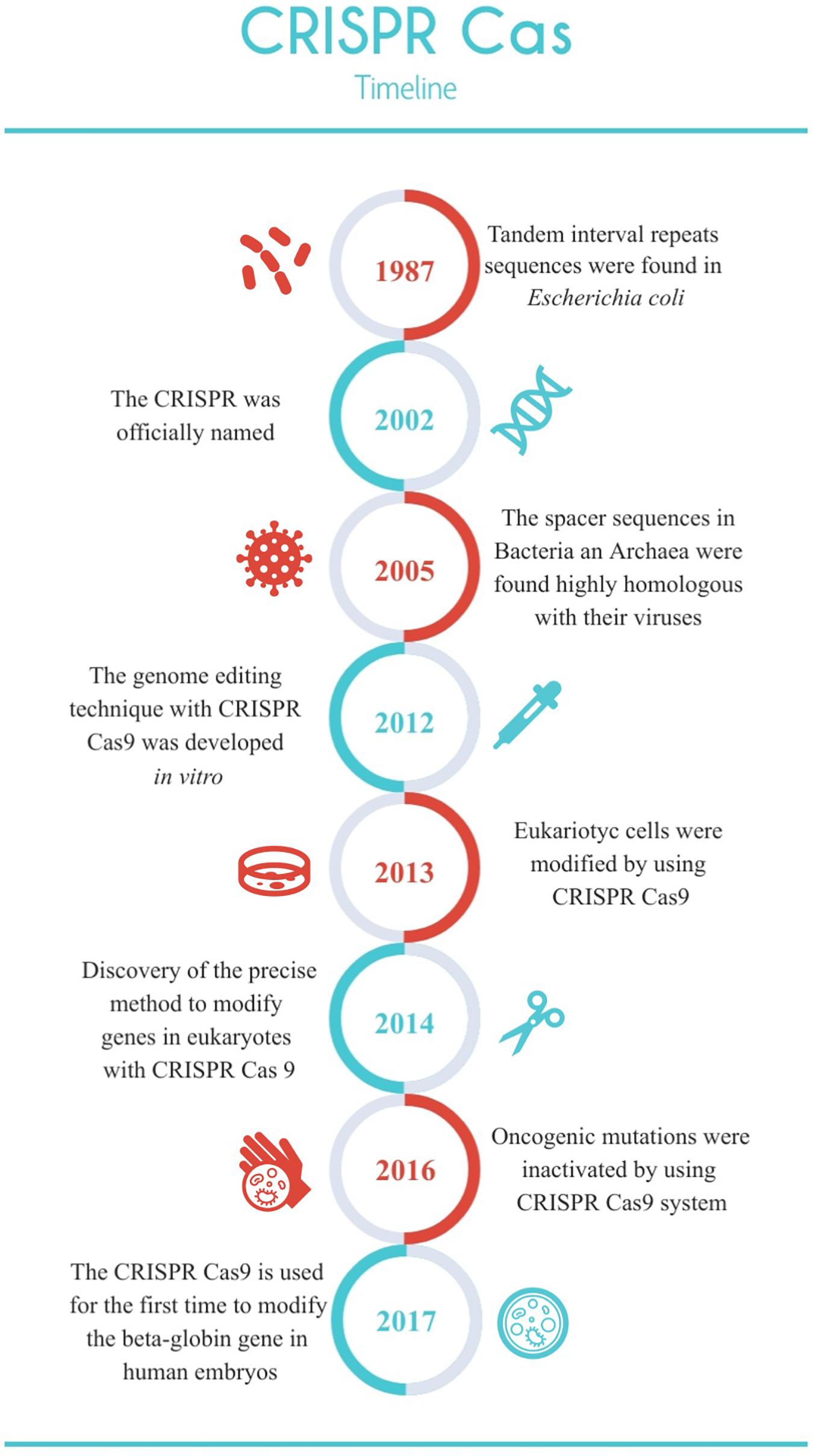 Frontiers | The Challenge of CRISPR-Cas Toward Bioethics
