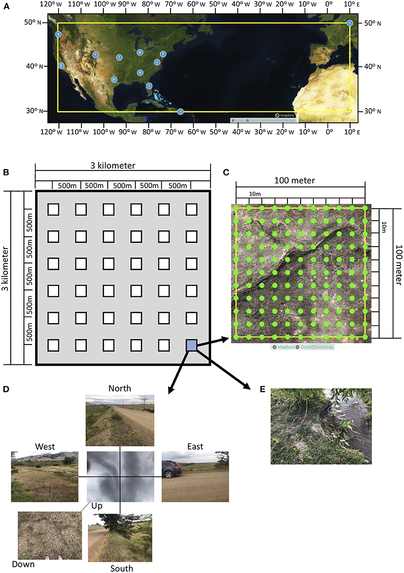 Geo-wiki and Cropland Capture: Citizen scientists help identify arable land