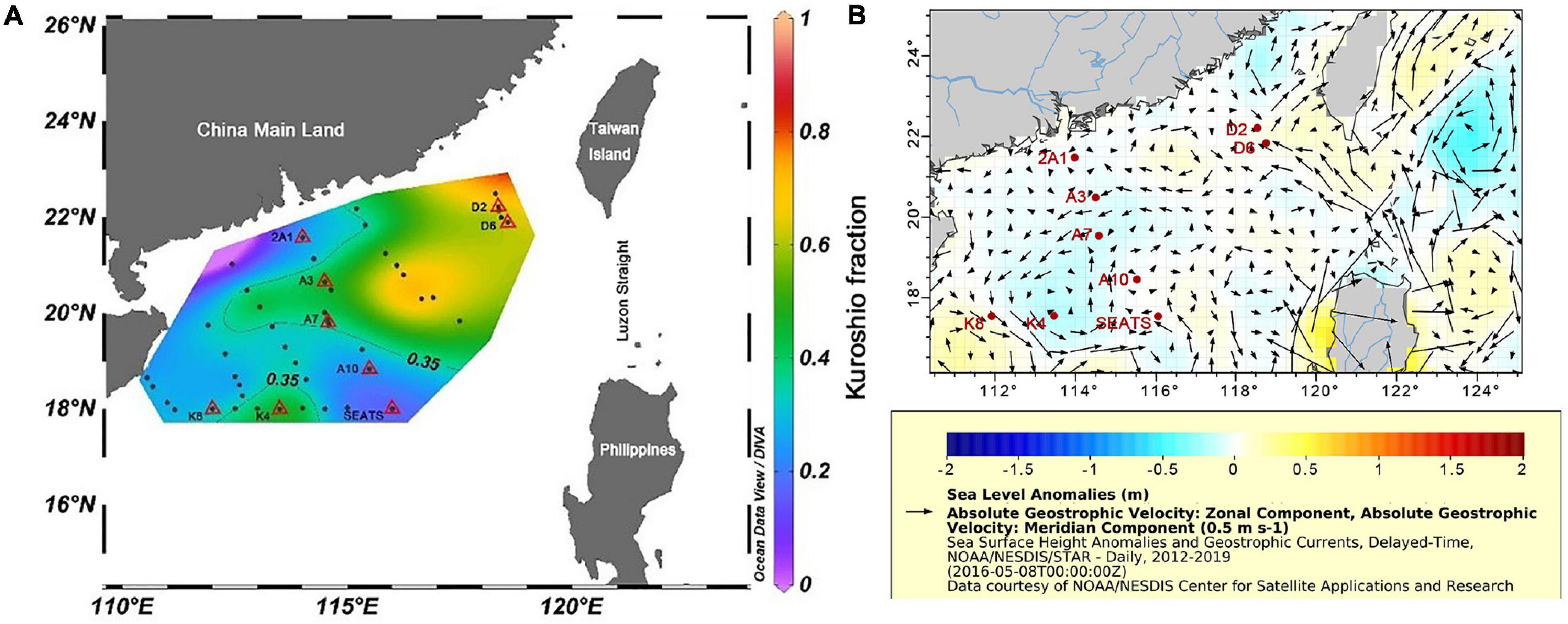 Frontiers  Diversity, Composition, and Activities of Nano- and  Pico-Eukaryotes in the Northern South China Sea With Influences of Kuroshio  Intrusion