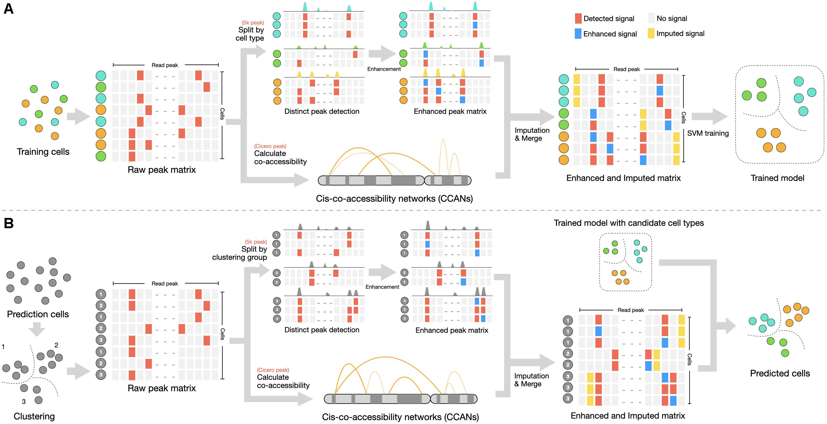 støj Persuasion imod Frontiers | Enhancement and Imputation of Peak Signal Enables Accurate  Cell-Type Classification in scATAC-seq