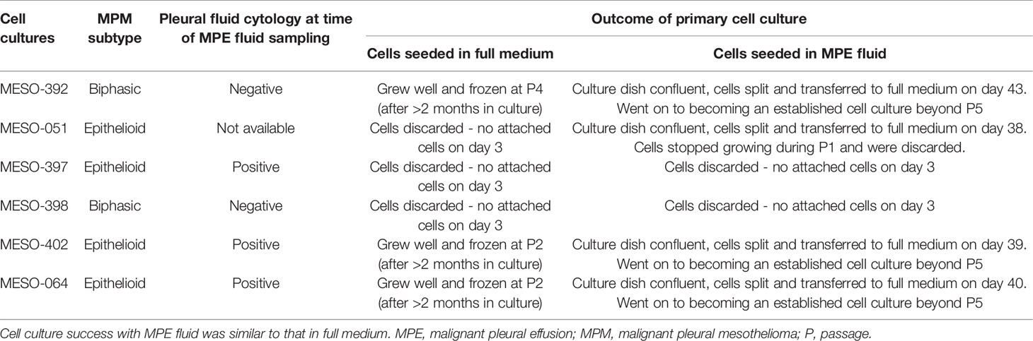 ovarian cancer well differentiated papillary mesothelioma